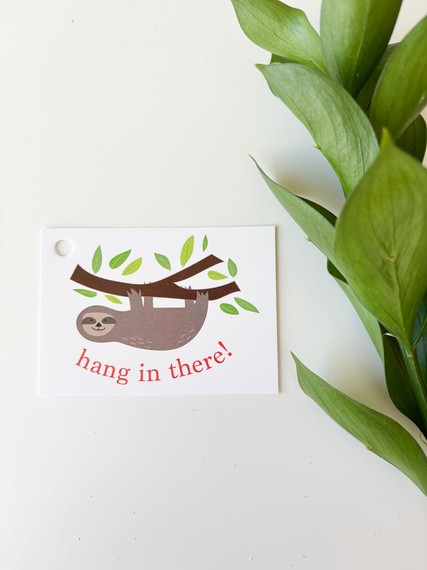 HANG IN THERE GIFT TAG (8ct)