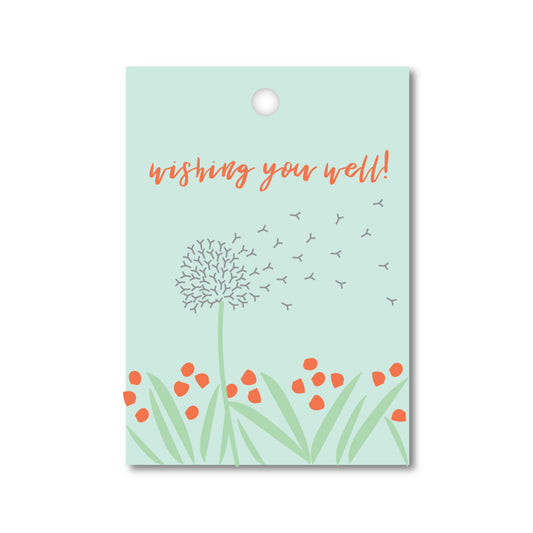 WISHING YOU WELL GIFT TAG (8ct)